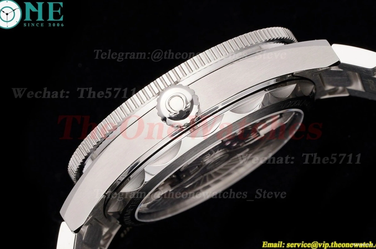 SS A8912 41mm SS 300m Date Dial No Seamaster Black VSF 1228